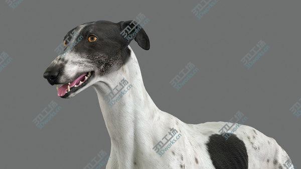 images/goods_img/20210312/3D model Greyhound (4)/2.jpg